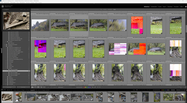 Screenshot 2024-06-12 LrC Grid View.jpg