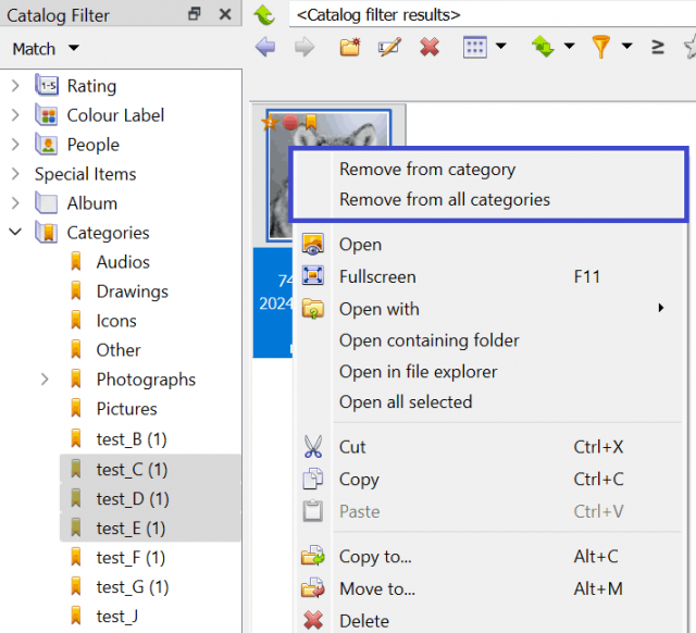 browser_catalog_improve_remove_from_category.png