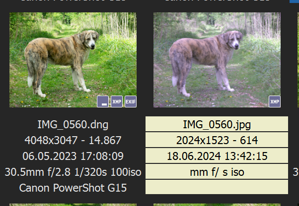 Vasko_Screenshot.png