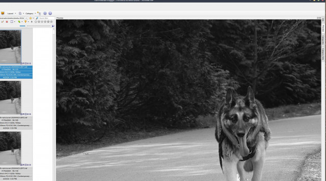 Screenshot_2024-06-18_11-58-32.jpg