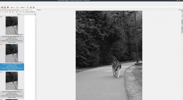 Screenshot_2024-06-18_11-58-56.jpg