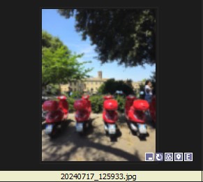 Vignette.jpg
