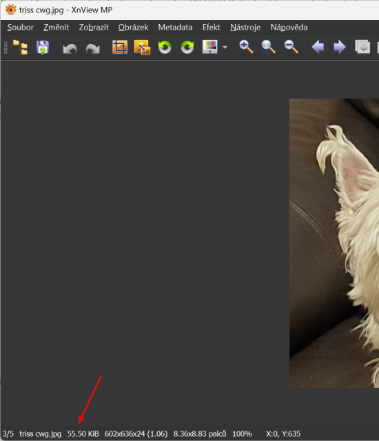 xnview-bug-statusbar.png
