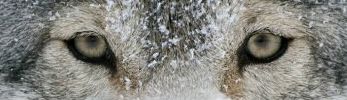 test_img_thumbnail.jpg