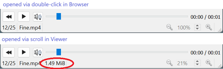 viewer_statusbar_video_file_size_issue.png