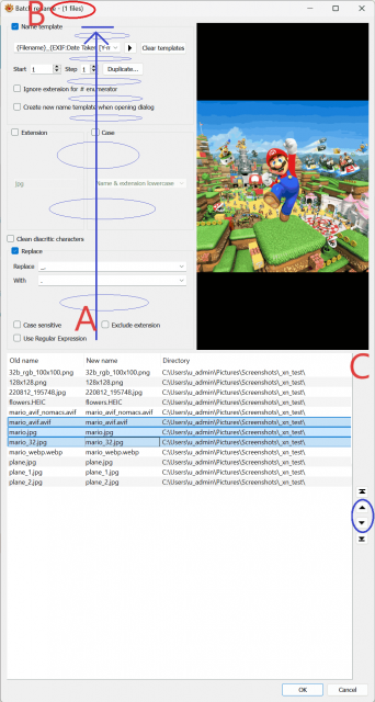batch_rename_few_issues.png
