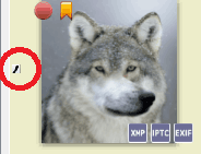 browser_filelist_checkbox_looks_checked.png