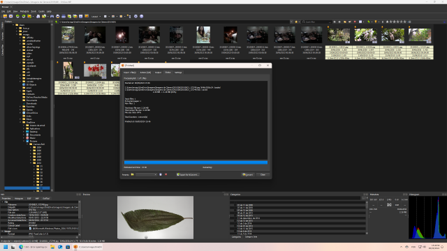 Screenshot (8).png