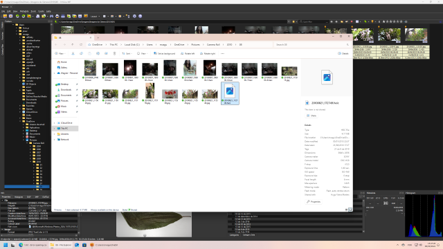 Screenshot (9).png