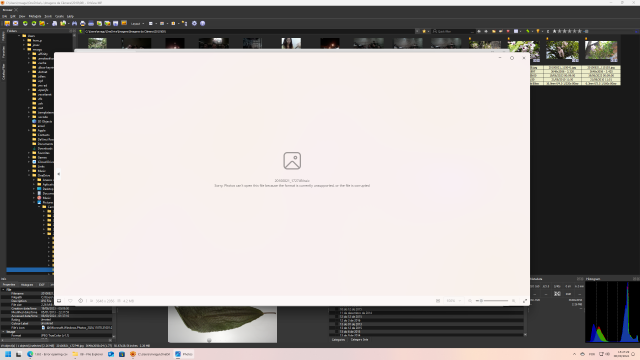 Screenshot (10).png