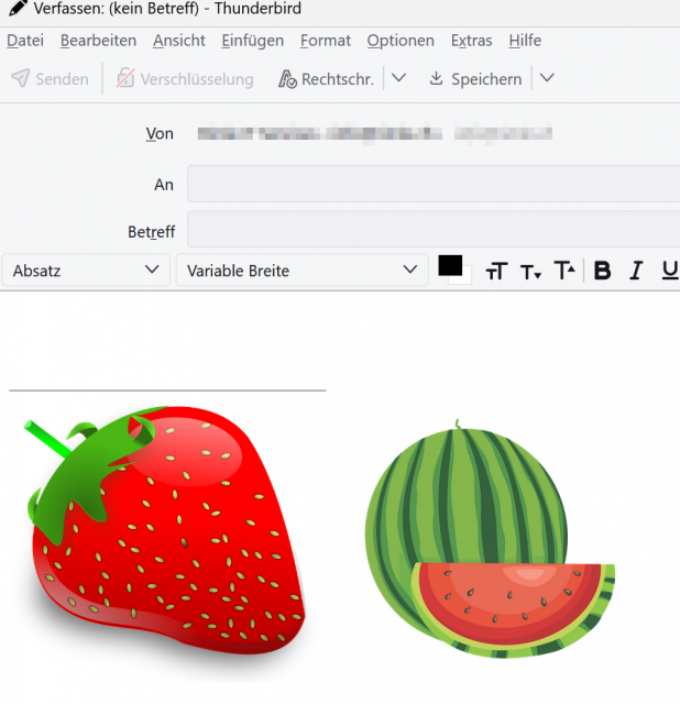 2024-09-16-img-copied-from-XnViewMP-to-Thunderbird.png