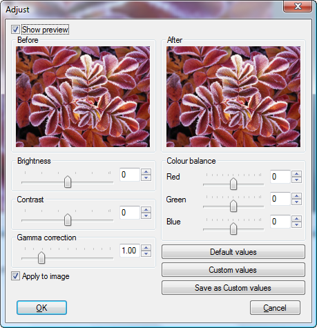 Dialog_Adjust.png