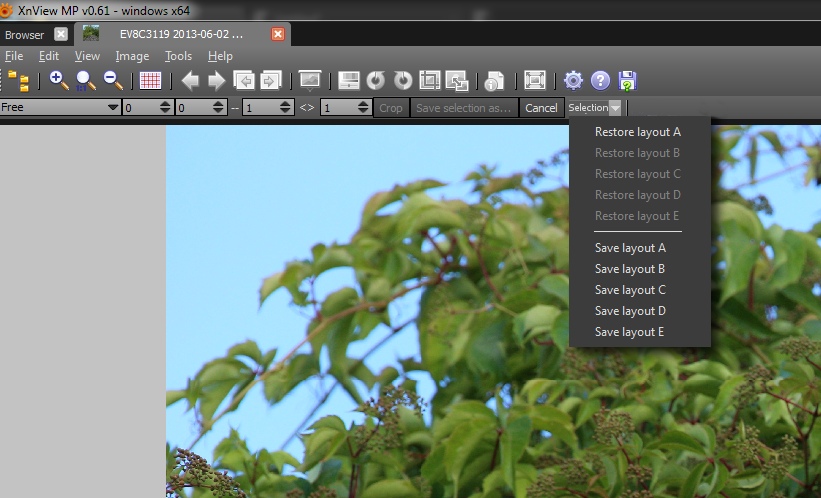 Crop-Layouts.jpg
