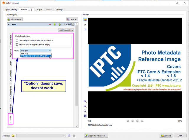 20241014_XnViewMP181_BatchConvert XMP_01.png