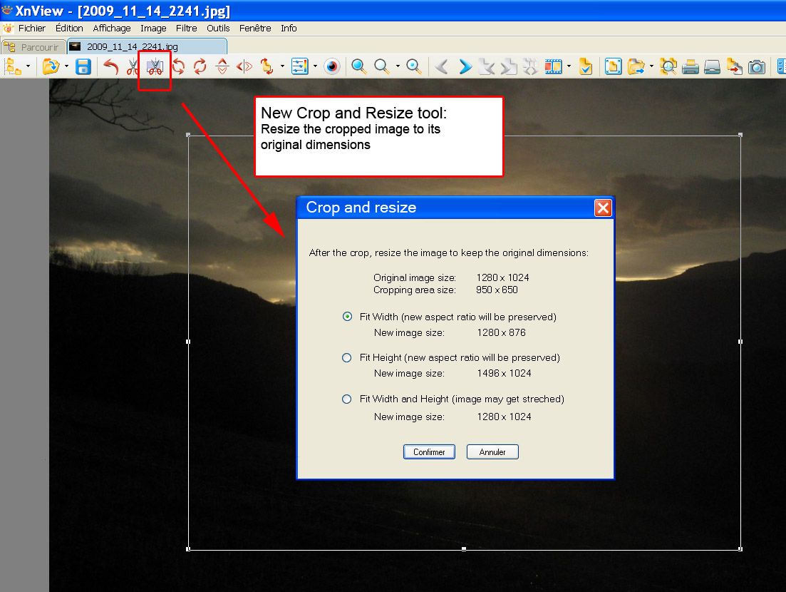 New Crop and Resize tool GUI proposal