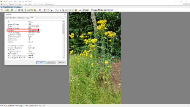 XnView photo open - with arrow.png