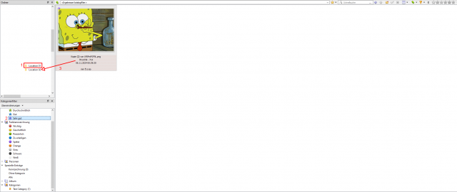 04 Filter Category Filter Panel.png