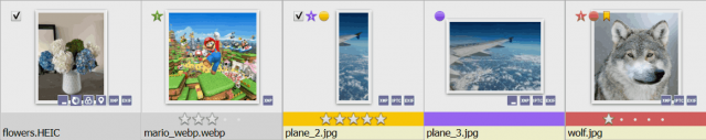 thumbnails+labels.png