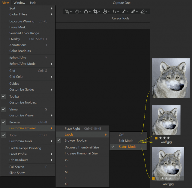 capture_one_labels.png