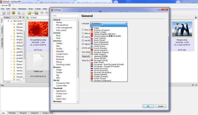 XNView MP 1.8.4 Language Selection.png