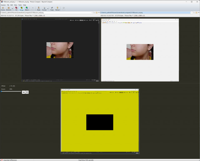 compare_100zoom_acdsee_xnviewmp_2.jpg