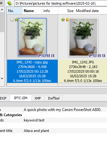no keyword label after saving edited photo but keywords is in iptc.PNG