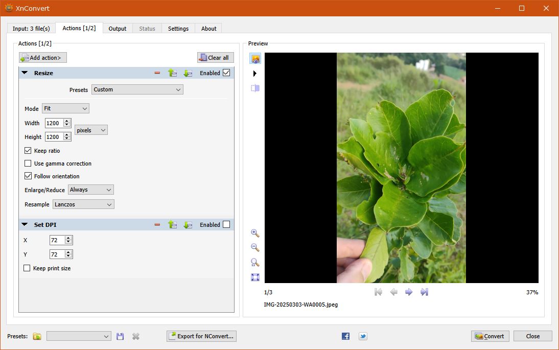 2025-03-16 11_25_57-XnConvert.jpg