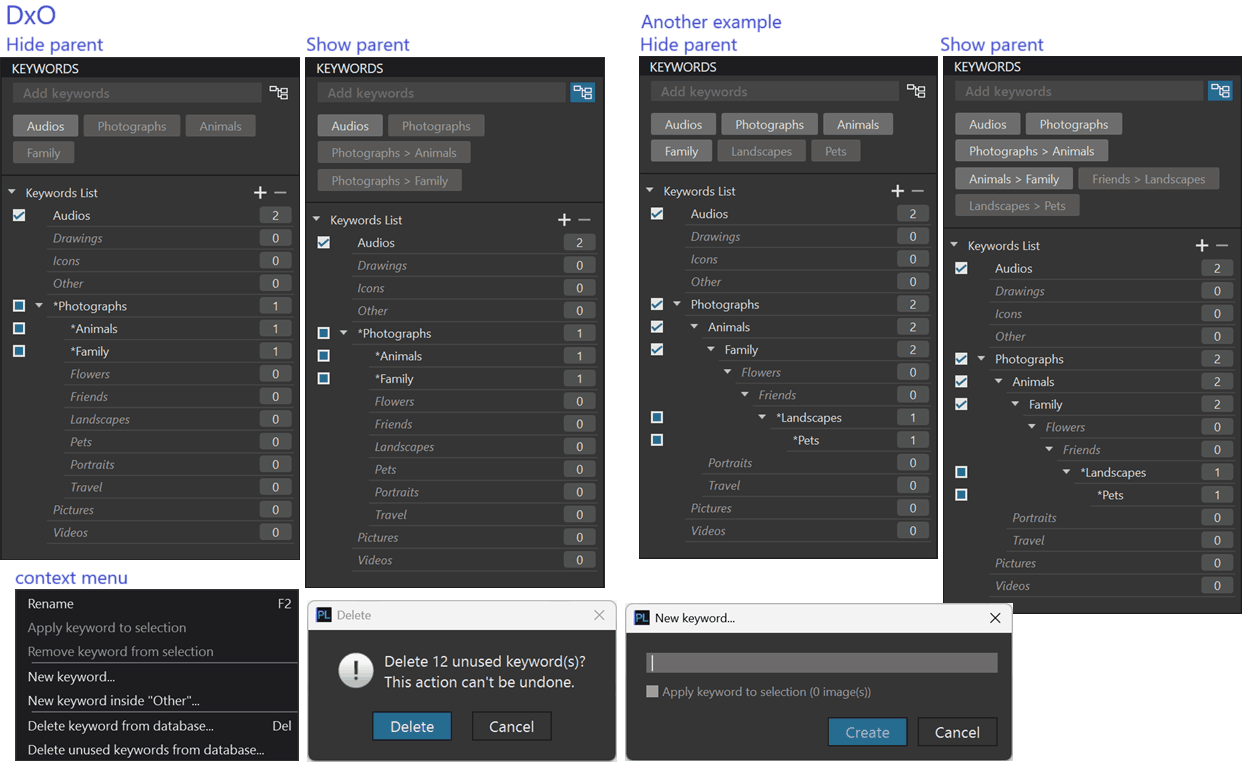 other_apps_keywords_DxO.png