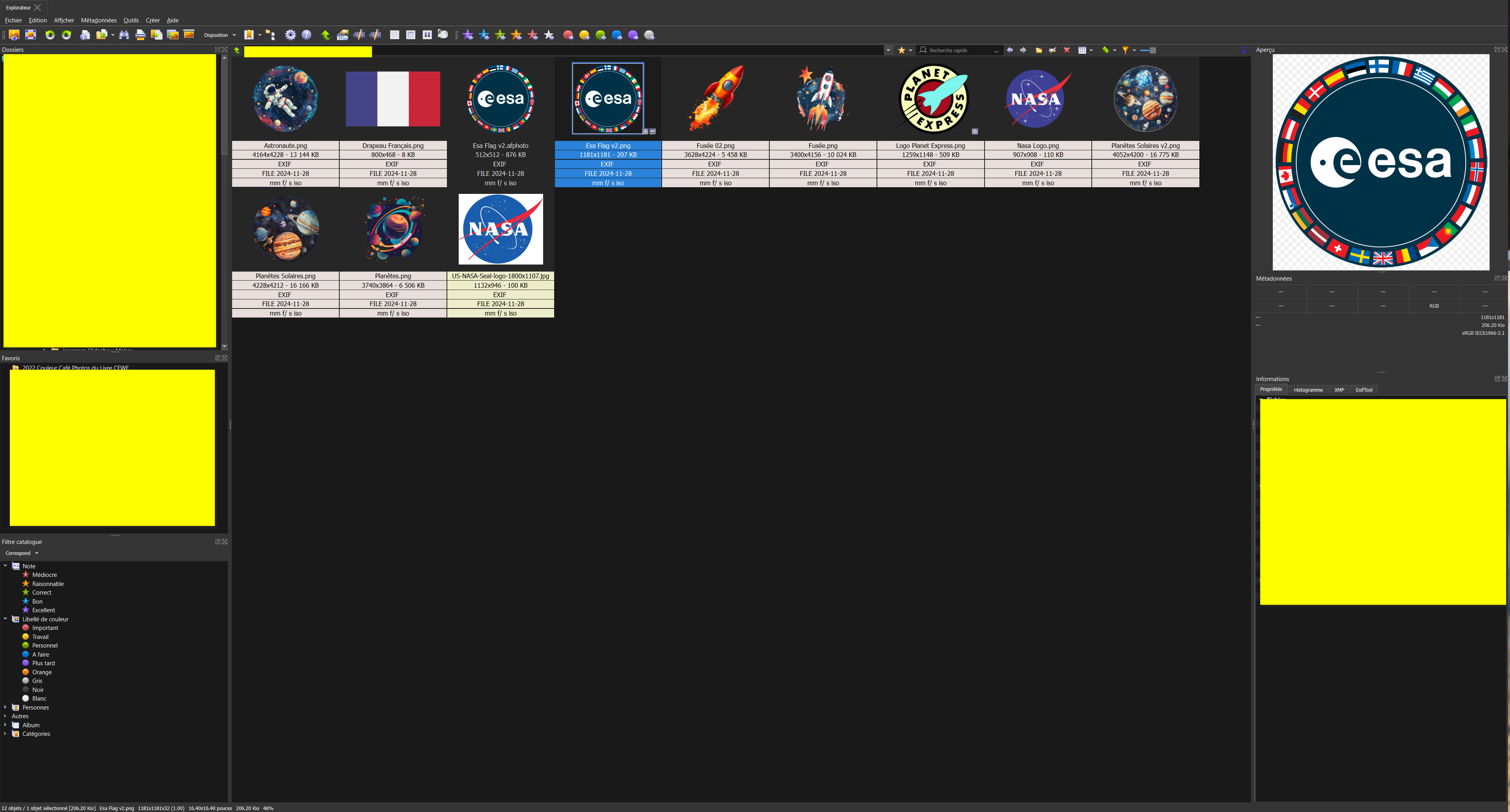XnView Layout  1 - French.png