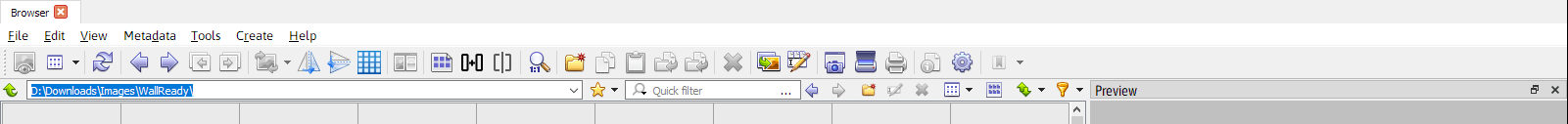 Bug in Browser