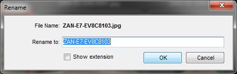 Popup-Rename.jpg