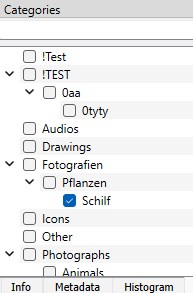 Clipboard-1.jpg