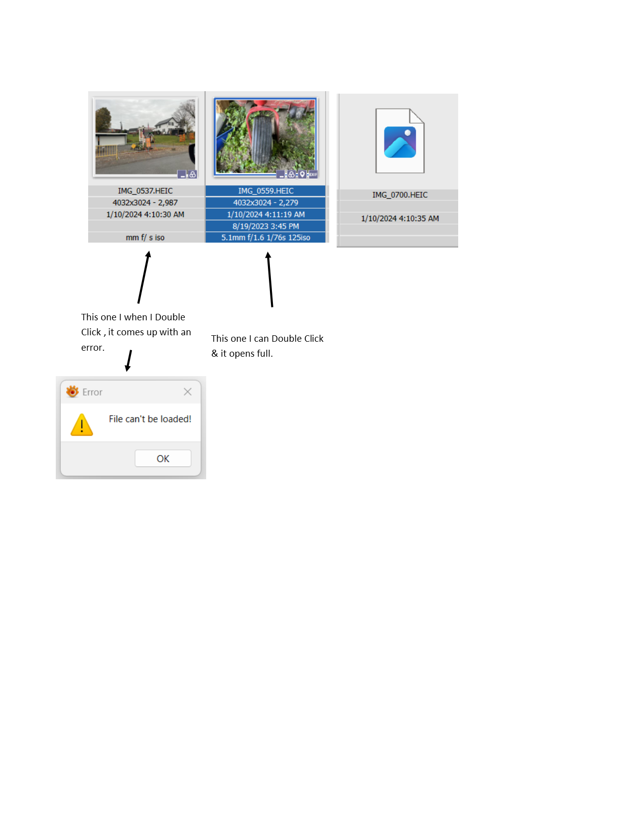 XnView MP Issue.png