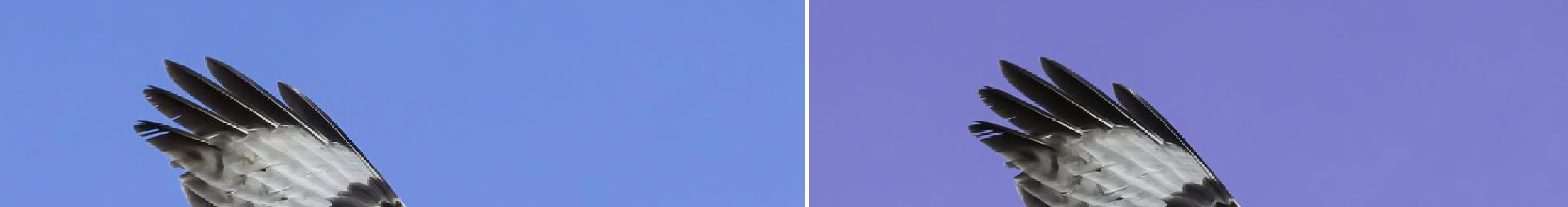 Screenshot 2025-05-24 at 15.29.09.png