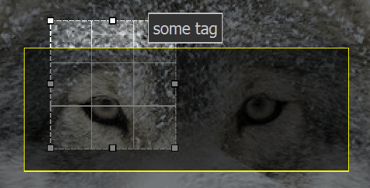 viewer_selection_facetag_darkens.png