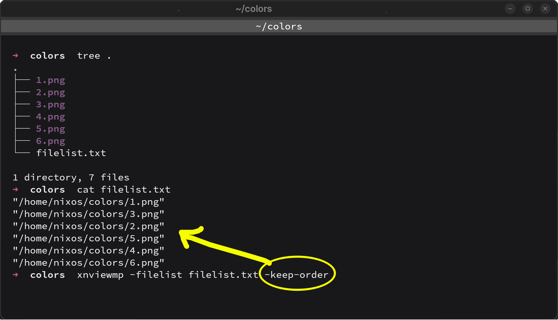 Arg -keep-order for -filelist option