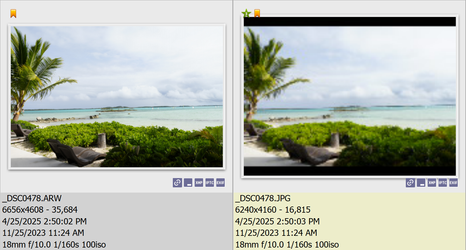 Photo XnView MP blurry jpg sample.png