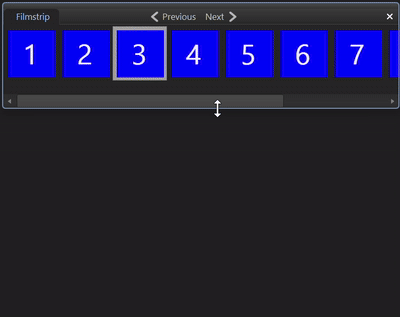 other_apps_filmstrip_acdsee_view_mode.gif