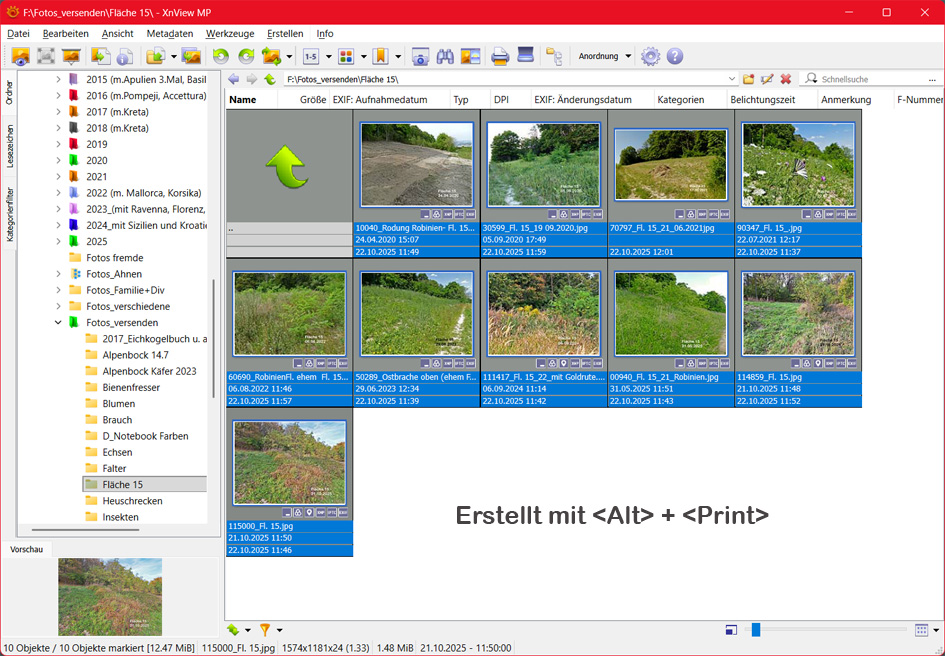 SCreeenshot Fl 15_.jpg