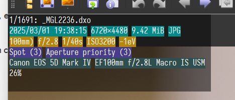 屏幕截图 2025-11-11 172641.png