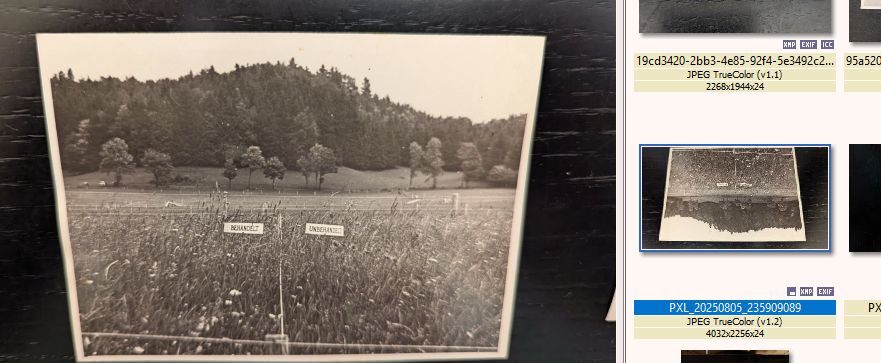 Graphic_11_26_2025 12_13_13 PM.jpg