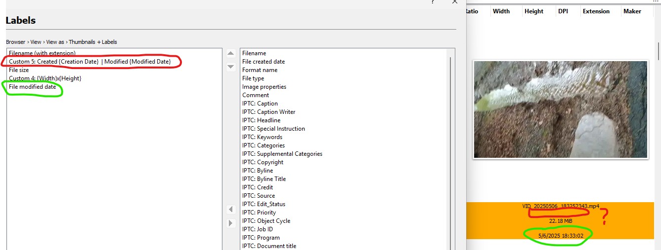 Video Custom Label.jpg
