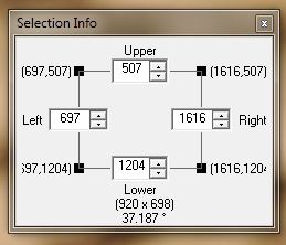 Selection Info.JPG