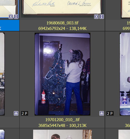 XnViewMP thumb with flag.png