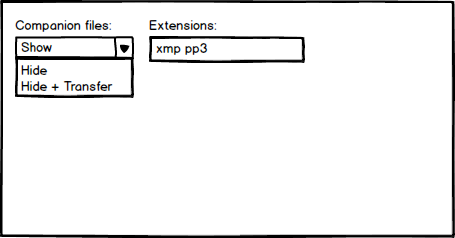 Companion-files-mockup.png