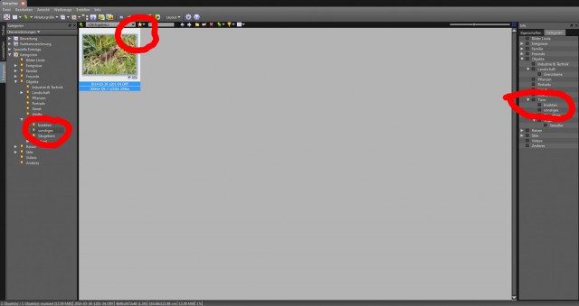 Screen-2014-04-08_13-11-2.jpg