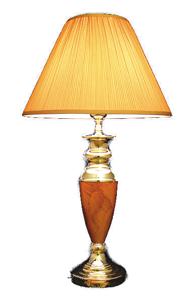 p119146_2.png