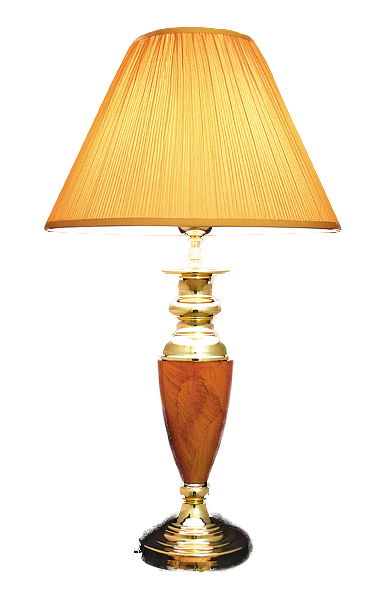 p119160_2.png