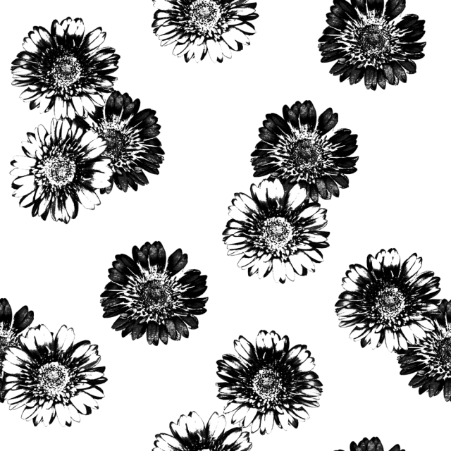 FlowersChannel.png