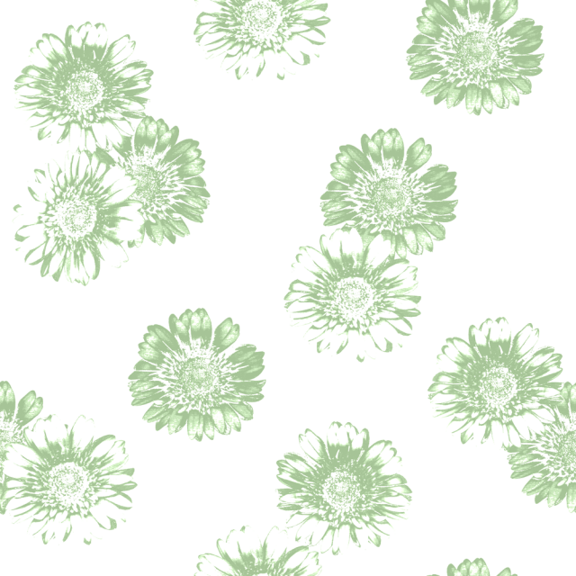 FlowersTrueRGB.png